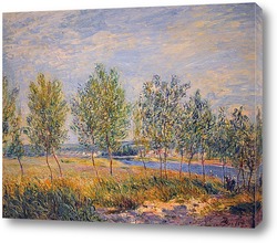   Картина Тополя на берегу реки