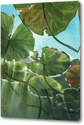    Акварель "Кувшинки"