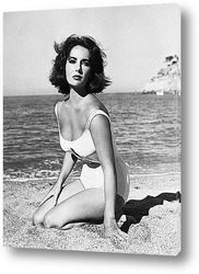  Elizabeth Taylor-26