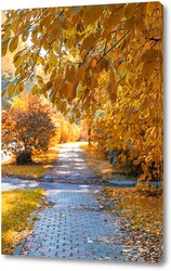   Постер Аллея с красивыми осенним деревьями