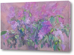    Сирень. 2009
