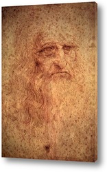  Leonardo da Vinci-24