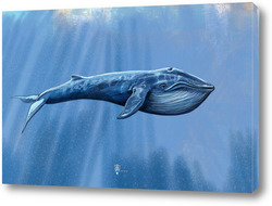    Синий кит