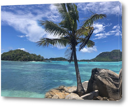   Постер Тропический пейзаж с пальмой