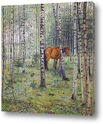    Конь в берёзовом лесу