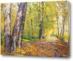    Осенний парк Кузьминки