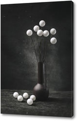    Натюрморт с букетом белых шариков