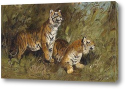   Картина Тигр в высокой траве