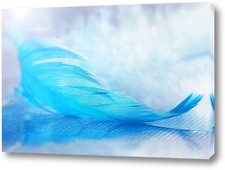   Постер Голубое перо