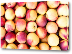    Background of nectarines