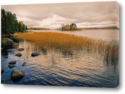    Осень в парке Монрепо.