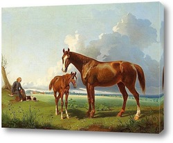    Лошадь с жеребенком