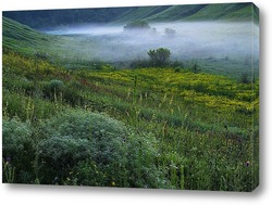  Последний туман на сегодня