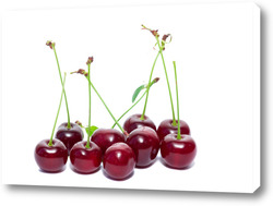   Постер Cherry on a white background