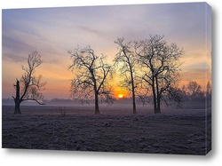  Поваленное дерево на снегу