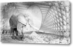   Постер Слон на мосту