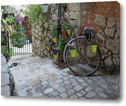   Постер Дворик с цветочным велосипедом и испуганным котом