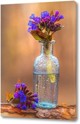    Цветы медуницы в стеклянной вазе