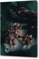   Постер бадьян