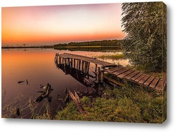  Прекрасная роза в потоках воды