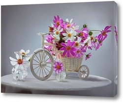    Цветочный велосипед.