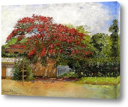   Картина Гавайский дом