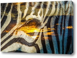  Полосатая зебра