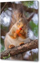  cute young squirrel on tree with held out paw against blurred winter forest in background.	