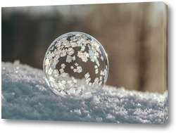    Замёрзший мыльный пузырь на снегу