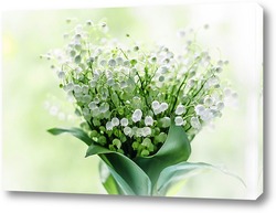   Постер Lily-of-the-valley