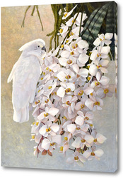   Постер Попугай и орхидеи