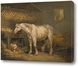    Старая лошадь с собакой в стойле