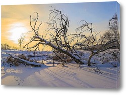  Силуэт дерева 