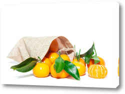   Постер Pile of mandarins with leaf isolated on white background