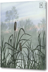   Постер Акварель "Рогоз"