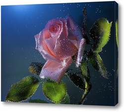  Водопады и леса 76610
