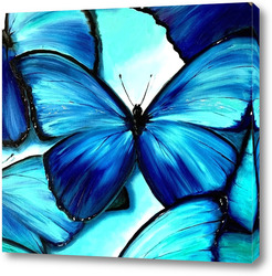   Постер Бирюзовые бабочки