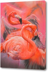  Фламинго