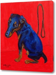    синяя собака