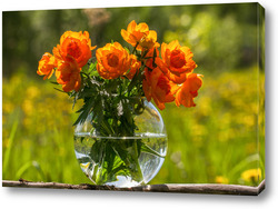    Красивые цветы в стеклянной вазе