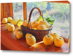    Антоновские яблоки