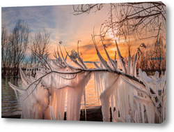   Постер Сосульки на ветви дерева