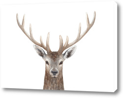  Безмятежность