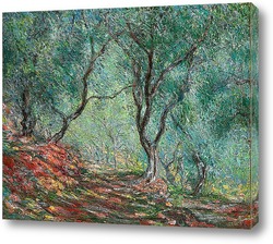   Картина Оливковая роща в саду Морено