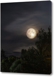    Ночной пейзаж с полной луной
