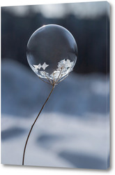   Постер Замёрзший  мыльный пузырь на растении