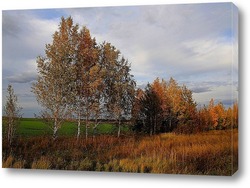    Прекрасной осени пейзаж