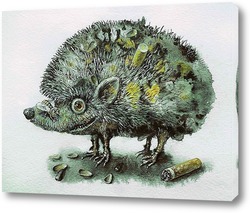  hedgehog on the grass..	