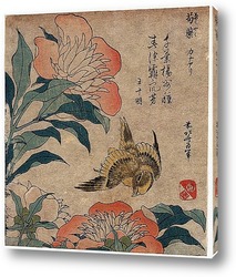   Постер Шокуаку кана ари