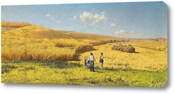    Сбор урожая на Украине